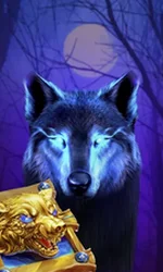 Book Of The Night Wolf