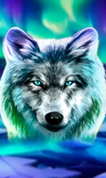 Wolf Fang - Northern Spirits